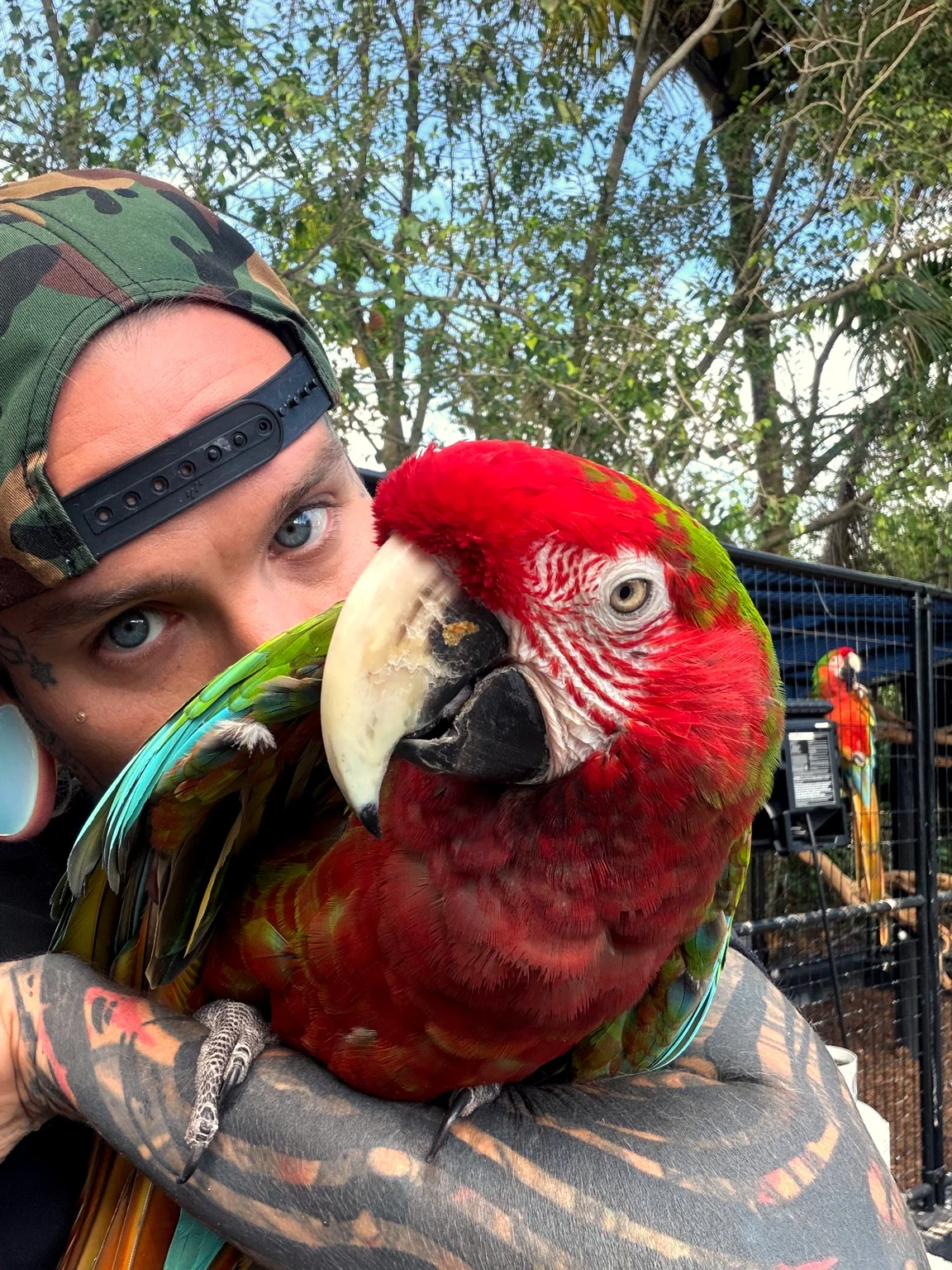 The Aviary